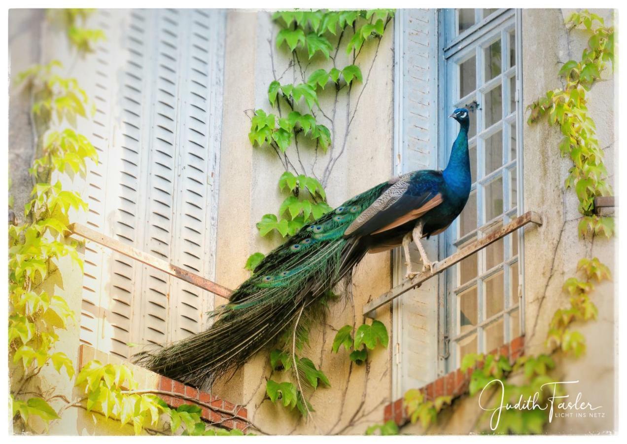 Le Relais Du Doubs En Bourgogne Bed & Breakfast Ciel ภายนอก รูปภาพ